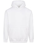 AWDis Just Hoods JH111 Vision Recycled Heavyweight Hoodie